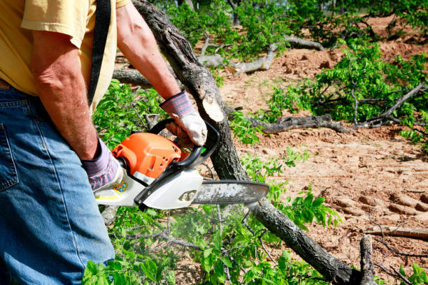 Leaf Removal in Milledgeville, IL